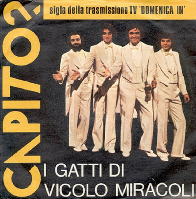 I Gatti Di Vicolo Miracoli - Capito? (7")