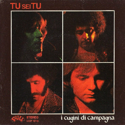 I Cugini Di Campagna - Tu Sei Tu (7")