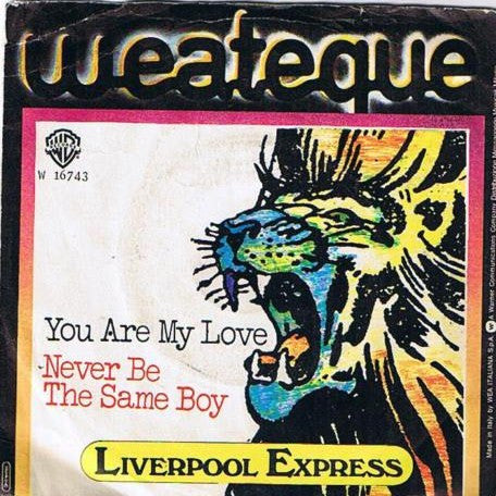 Liverpool Express - You Are My Love / Never Be The Same Boy (7")