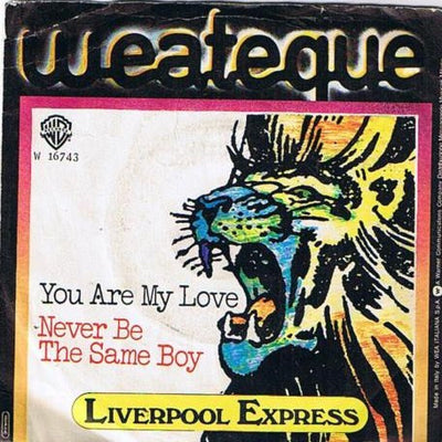 Liverpool Express - You Are My Love / Never Be The Same Boy (7")