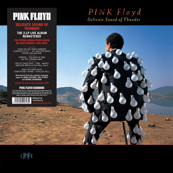 Pink Floyd - Delicate Sound Of Thunder (2LP, 180gr)
