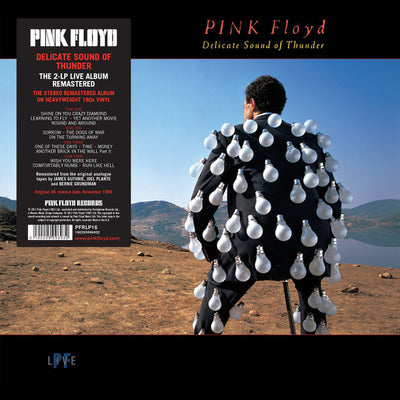 Pink Floyd - Delicate Sound Of Thunder (2LP, 180gr)