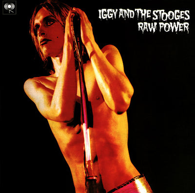 Iggy Pop and the Stooges - Raw Power (2LP, 180gr)