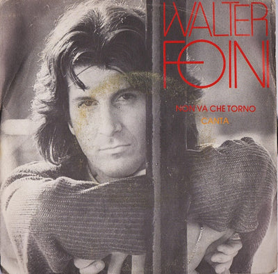 Walter Foini - Non Va Che Torno / Canta (7")
