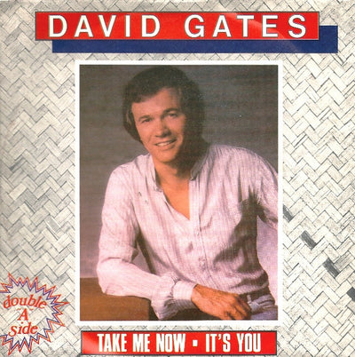 David Gates - Take Me Now (7")