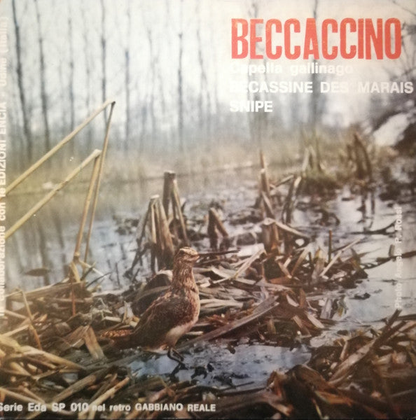 No Artist - Beccaccino (Capella Gallinago)  / Gabbiano Reale (Larus Argentatus) (7")