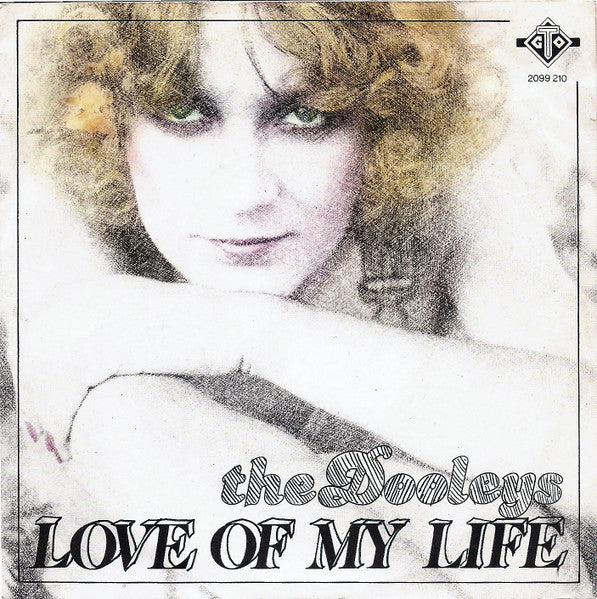 The Dooleys - Love Of My Life (7")