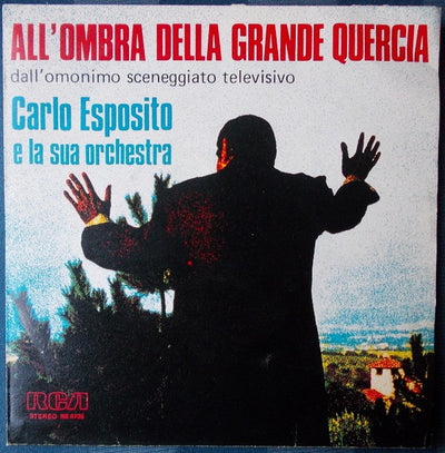 Orchestra Carlo Esposito, Amedeo Minghi - All'Ombra Della Grande Quercia / Flash Back (7", Single)