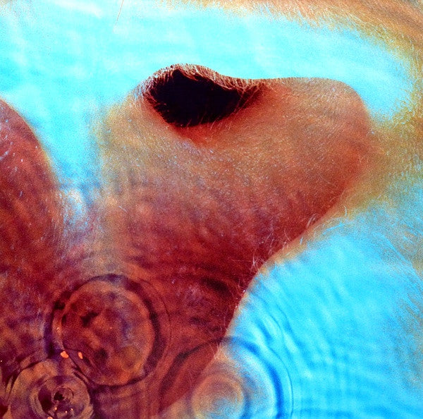 Pink Floyd - Meddle (2016, 180gr)