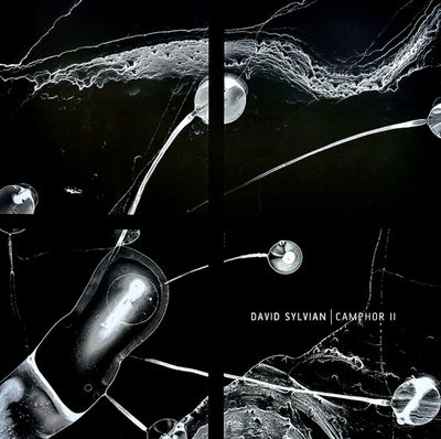 David Sylvian - Camphor II (RSD 2025, 2LP, White, 180gr)
