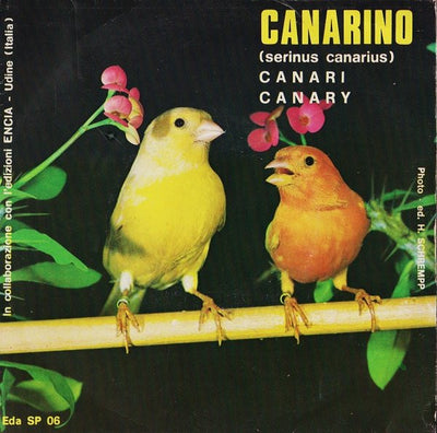 No Artist - Canarino (Serinus Canarius) (7")