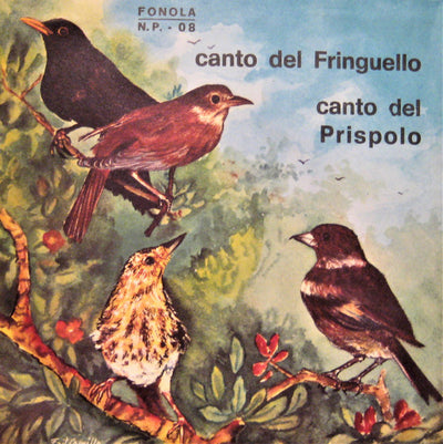 No Artist - Canto Del Fringuello / Canto Del Prispolo (7")