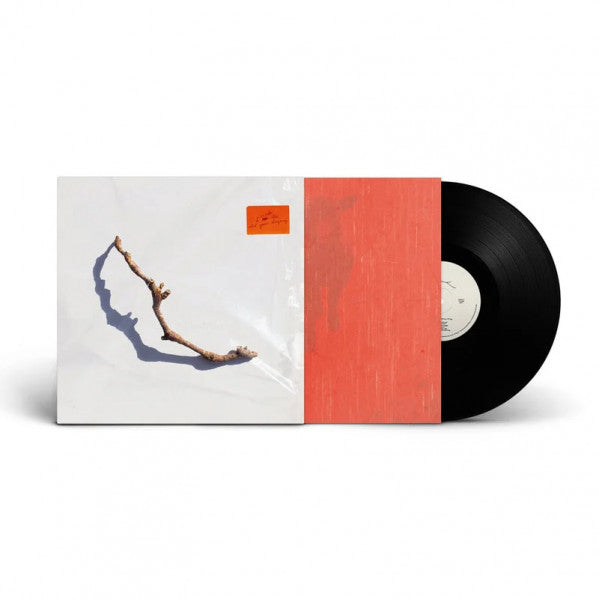 PJ Harvey - I Inside The Old Year Dying (180gr)