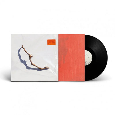 PJ Harvey - I Inside The Old Year Dying (180gr)