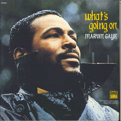 Marvin Gaye - What'S Going On (180gr)