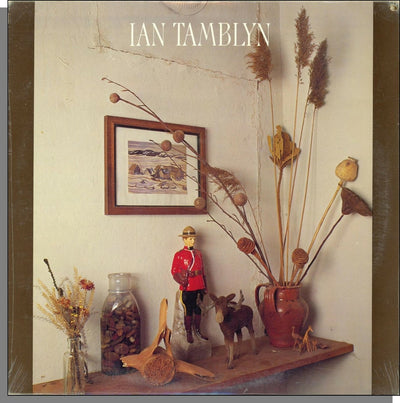 Ian Tamblyn - Ian Tamblyn (LP, Album)