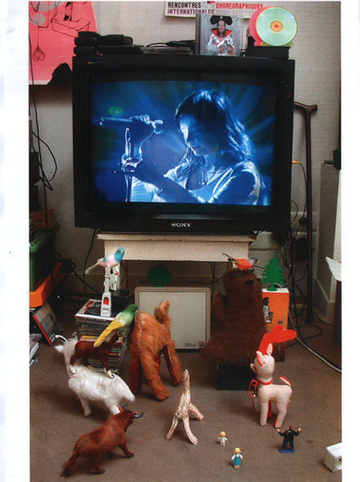 Bjork - Cambridge (DVD)