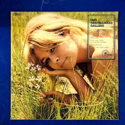Duo Castellazzo Gallizio - Il Cacciatore Del Bosco (LP, Album)