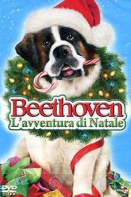 Beethoven, L'avventura Di Natale (DVD)