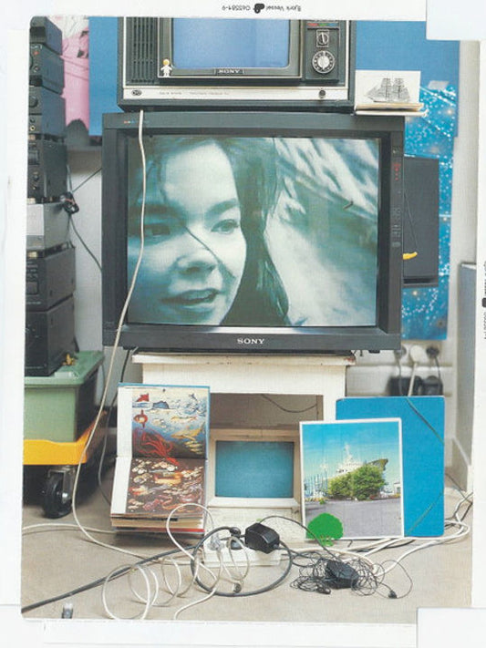 Bjork - Vessel (DVD)