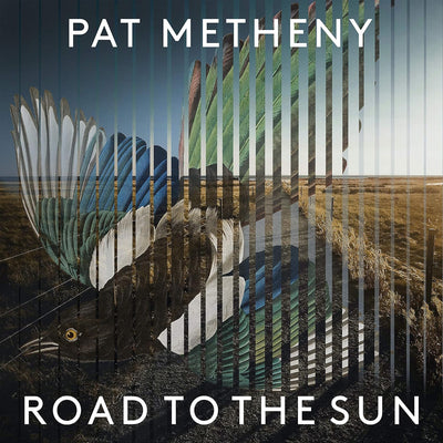 Pat Metheny - Road to the sun (Vinile 180gr.)
