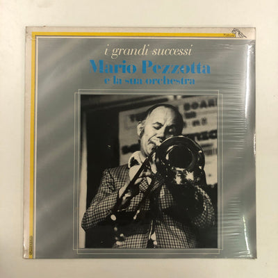 Mario Pezzotta E La Sua Orchestra - I grandi successi (LP, Album)
