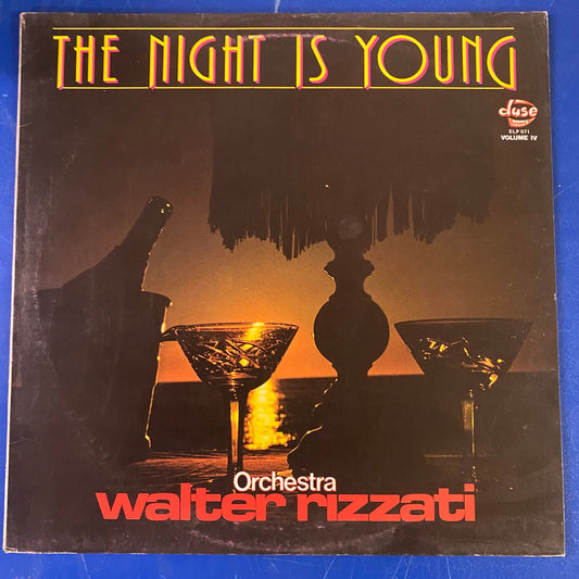 Orchestra Walter Rizzati - The Night Is Young (LP)